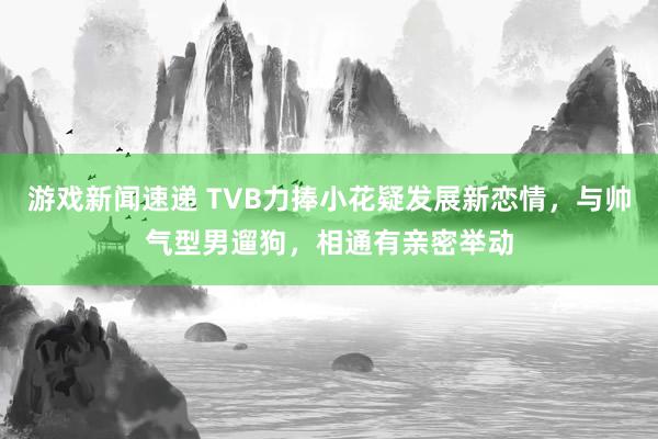 游戏新闻速递 TVB力捧小花疑发展新恋情，与帅气型男遛狗，相通有亲密举动