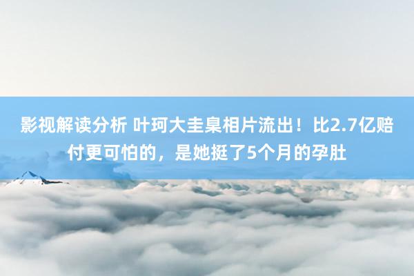 影视解读分析 叶珂大圭臬相片流出！比2.7亿赔付更可怕的，是她挺了5个月的孕肚