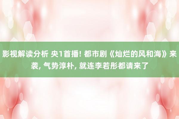 影视解读分析 央1首播! 都市剧《灿烂的风和海》来袭, 气势淳朴, 就连李若彤都请来了