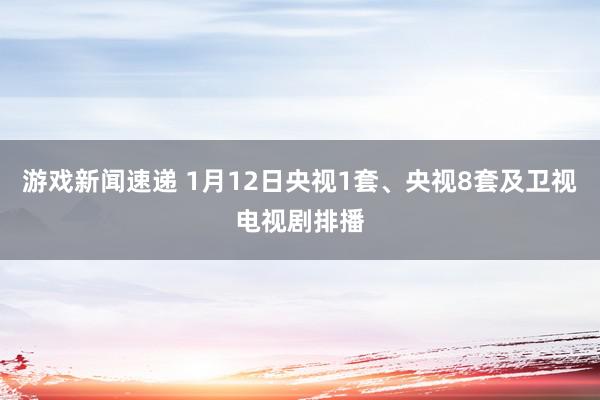 游戏新闻速递 1月12日央视1套、央视8套及卫视电视剧排播