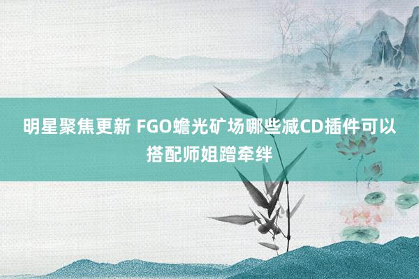 明星聚焦更新 FGO蟾光矿场哪些减CD插件可以搭配师姐蹭牵绊